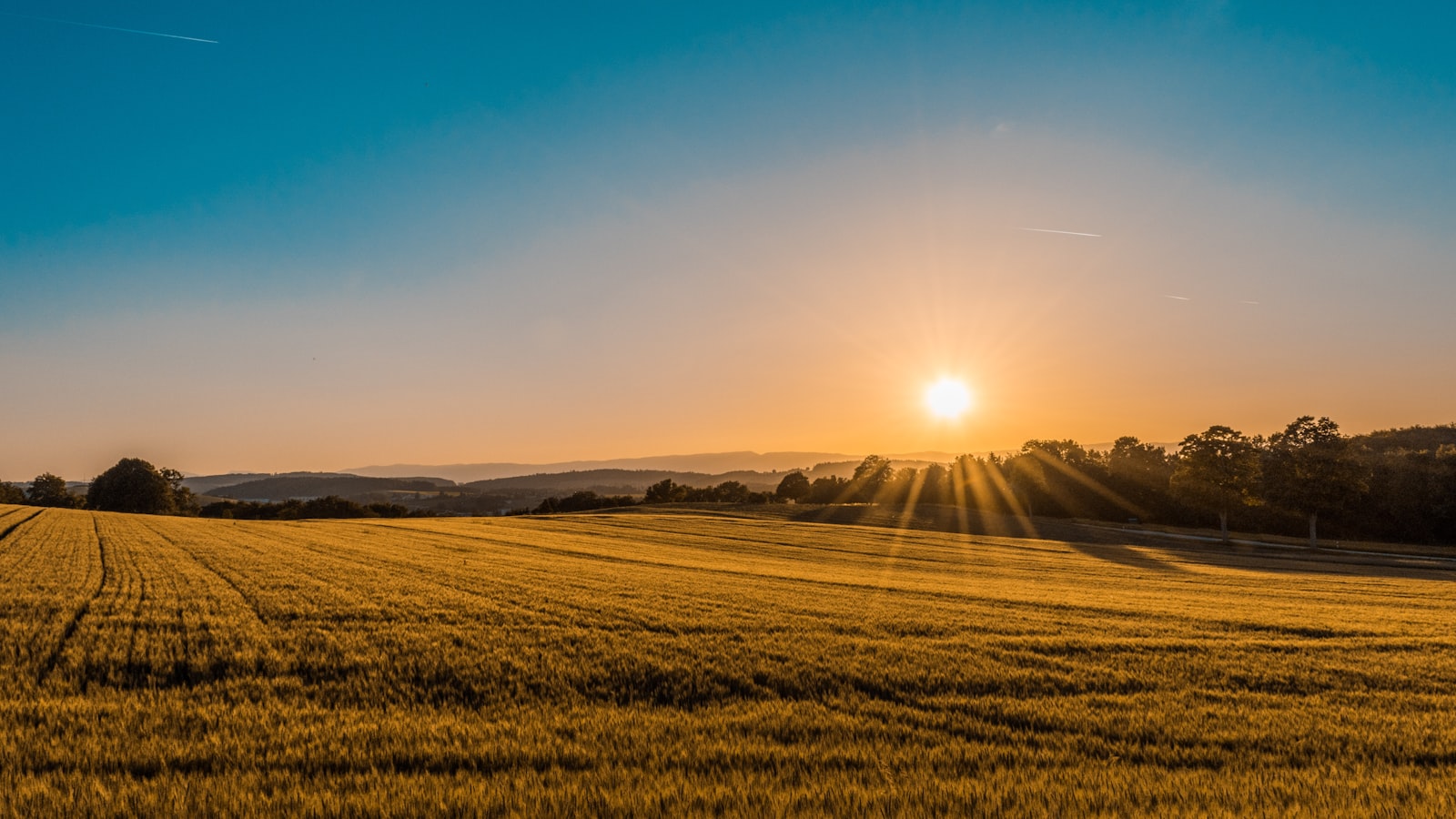 Sustainable agriculture